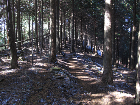 20161216hike (154)